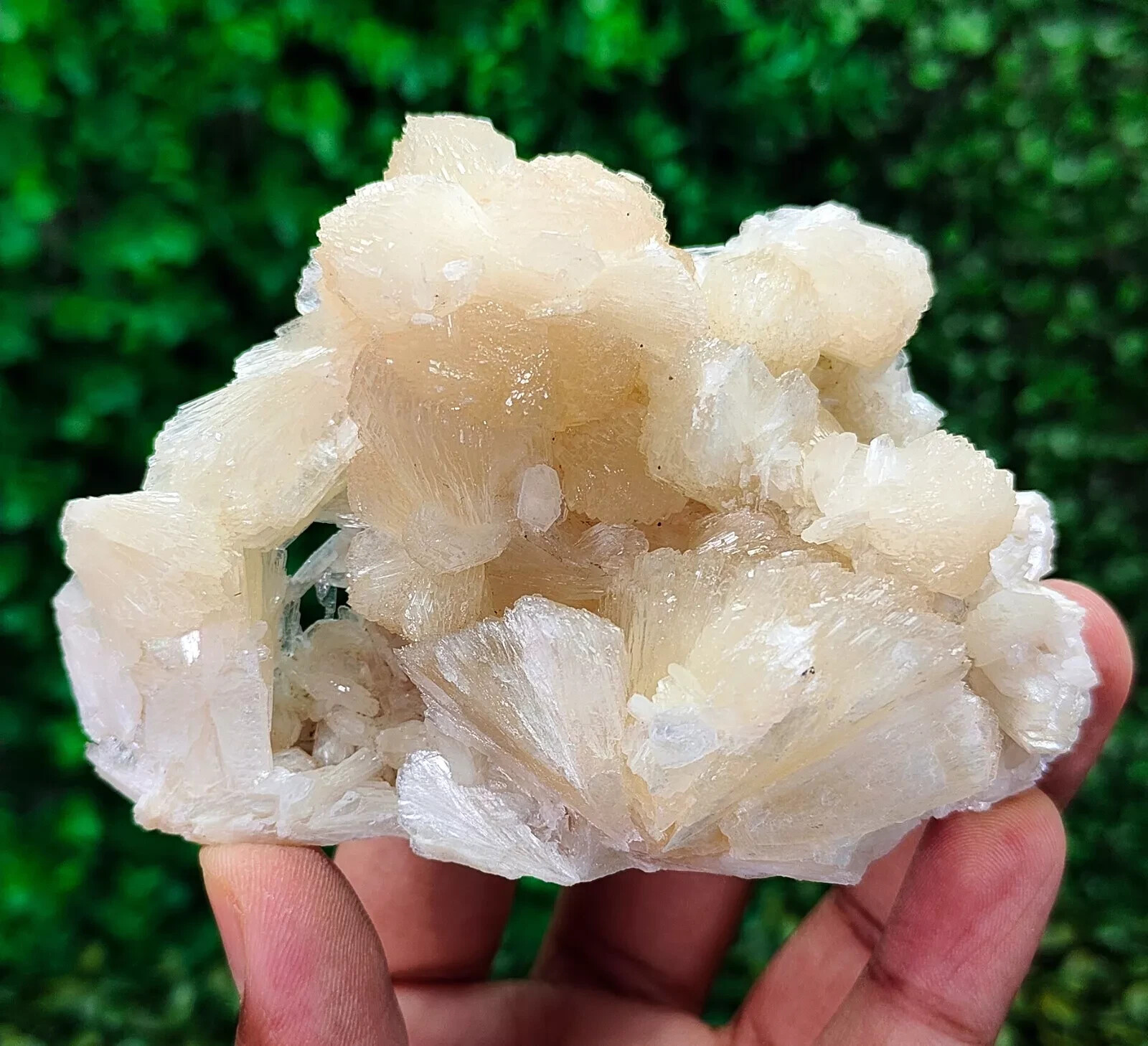 207g Natural Stilbite Mineral Specimen