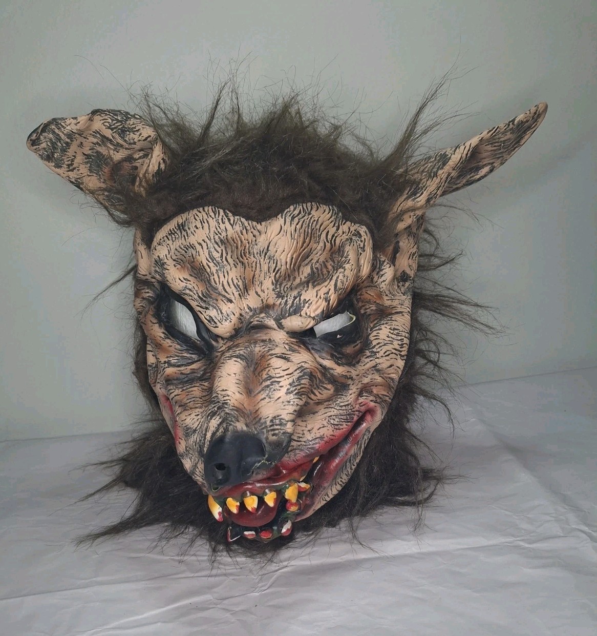 Vintage Wolfman Wolf Werewolf Scary Halloween Rubber Latex Full Face Mask Hair