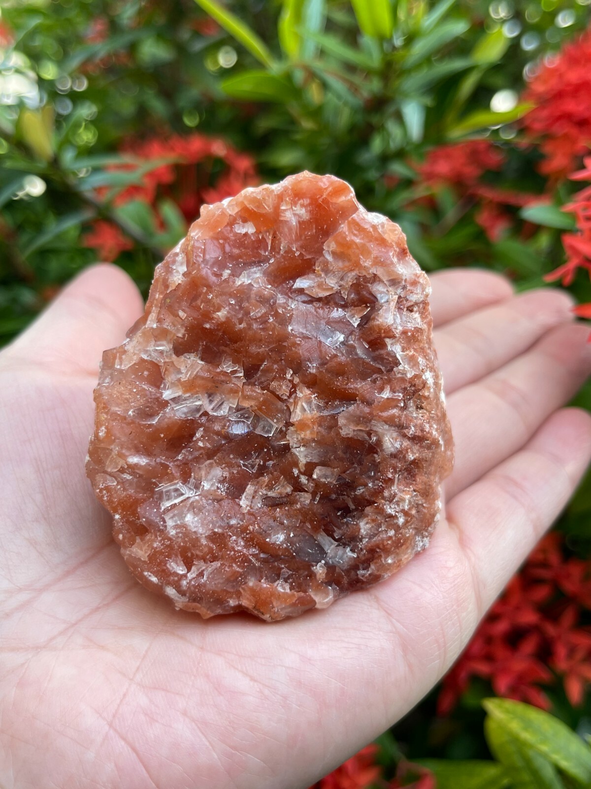 Extra Large Red Calcite Rough Stones, 2\ Extra Large Red Calcite Rough Stones, 2\