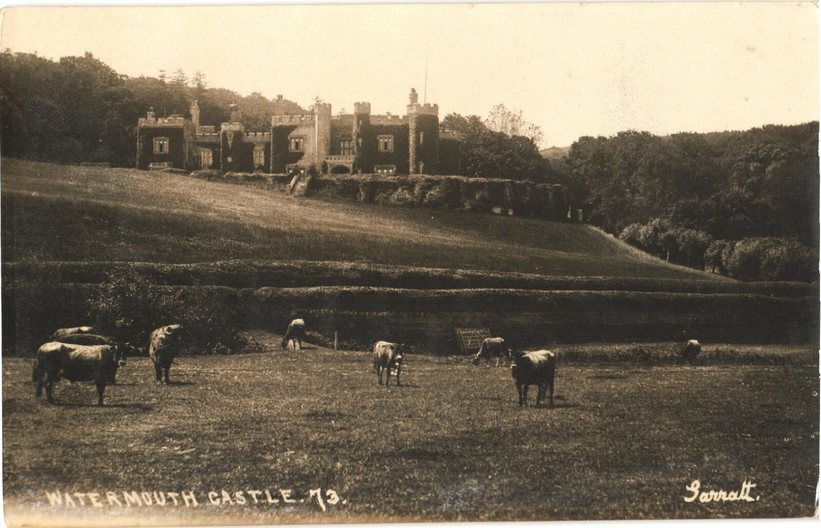 Watermouth Castle Devon England RPPC Real Photo Postcard Cows Unposted Garrett Watermouth Castle Devon England RPPC Real Photo Postcard Cows Unposted Garrett