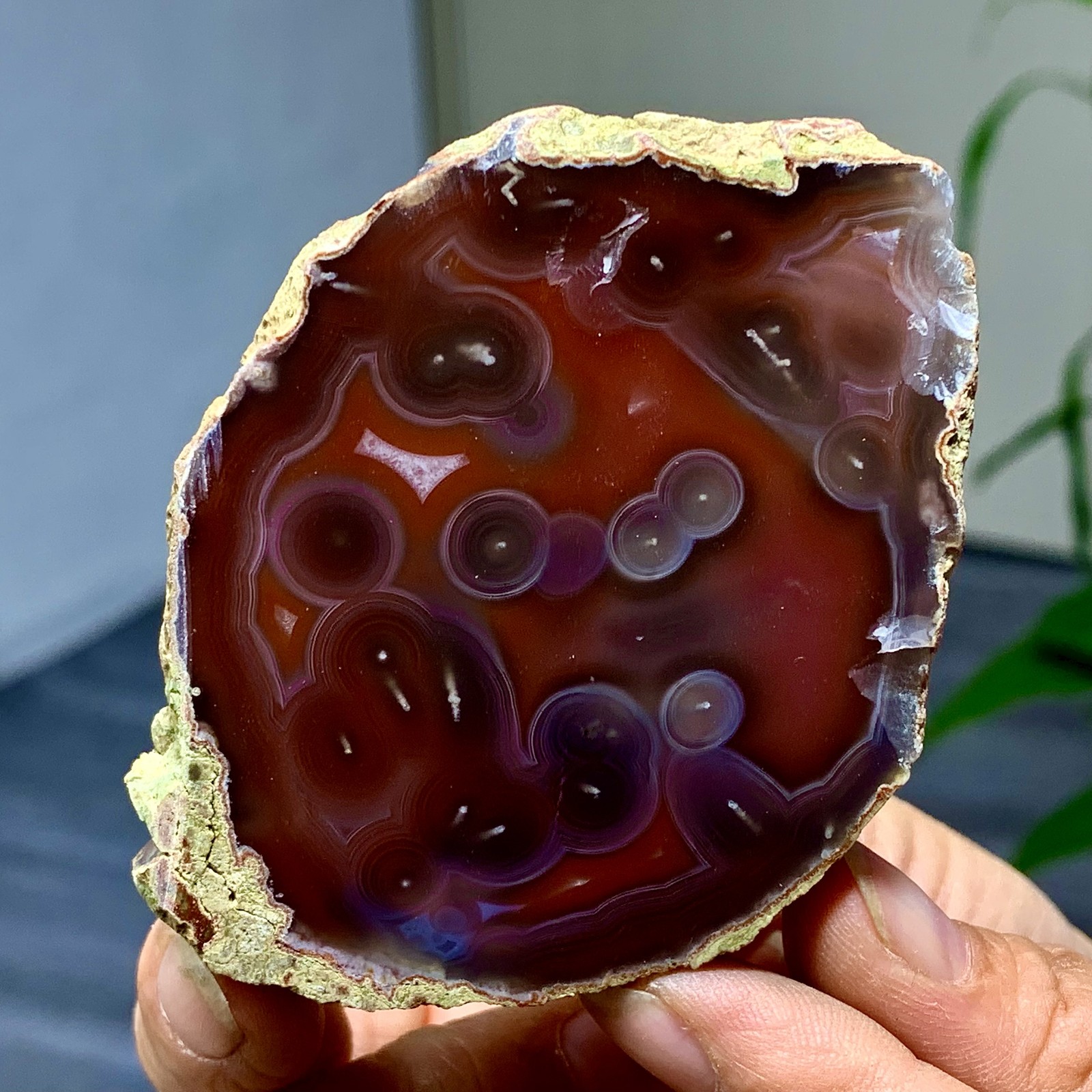 68G Natural Polished Warring States Red Agate slice quartz Stone Healing