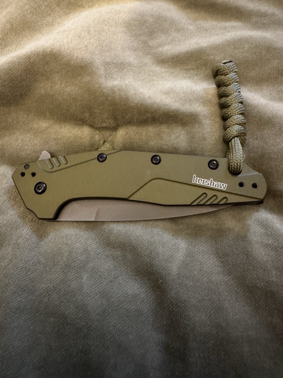 Kershaw Dividend Assisted Opening Knife Olive (3\