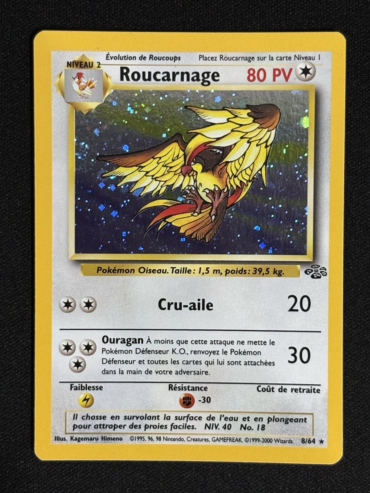 Pidgeot Holo Roucarnage 8/64 Jungle Set French Edition Vintage Pokemon Card 2000 Pidgeot Holo Roucarnage 8/64 Jungle Set French Edition Vintage Pokemon Card 2000