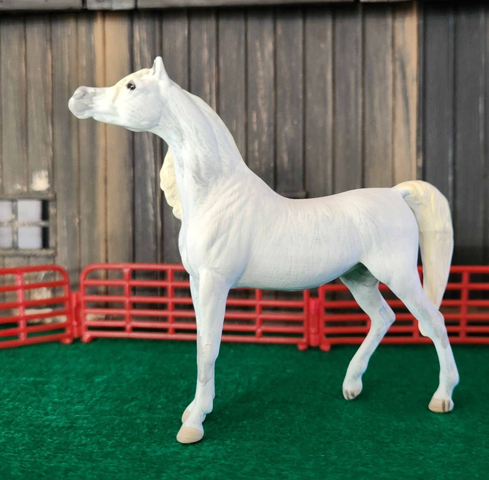 CM Breyer SM Stablemate posing Arab Arabian Akilah Zafirah halter horse