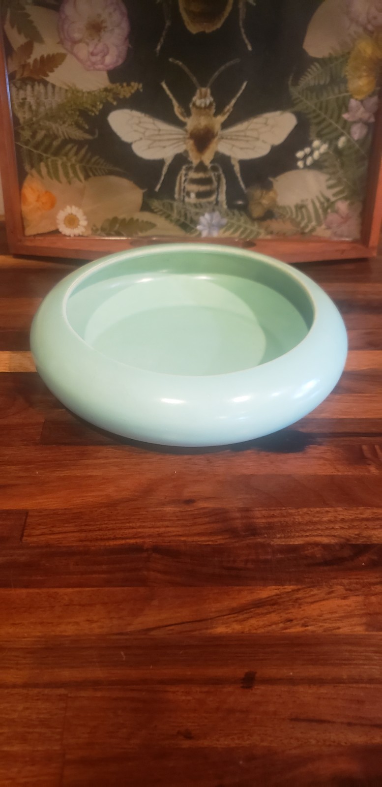 Pacific MADE IN USA Round Flat Shallow Bowl Planter Vase Mint Green