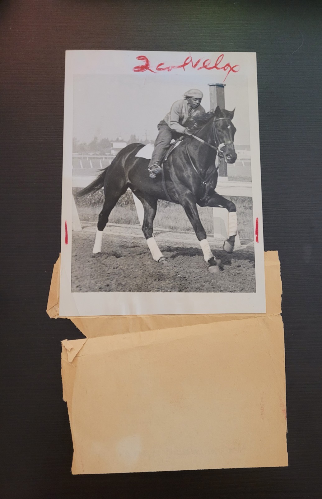 Vintage 1949 Wire Photo Knockdown Kentucky Derby Racehorse Exercise Boy