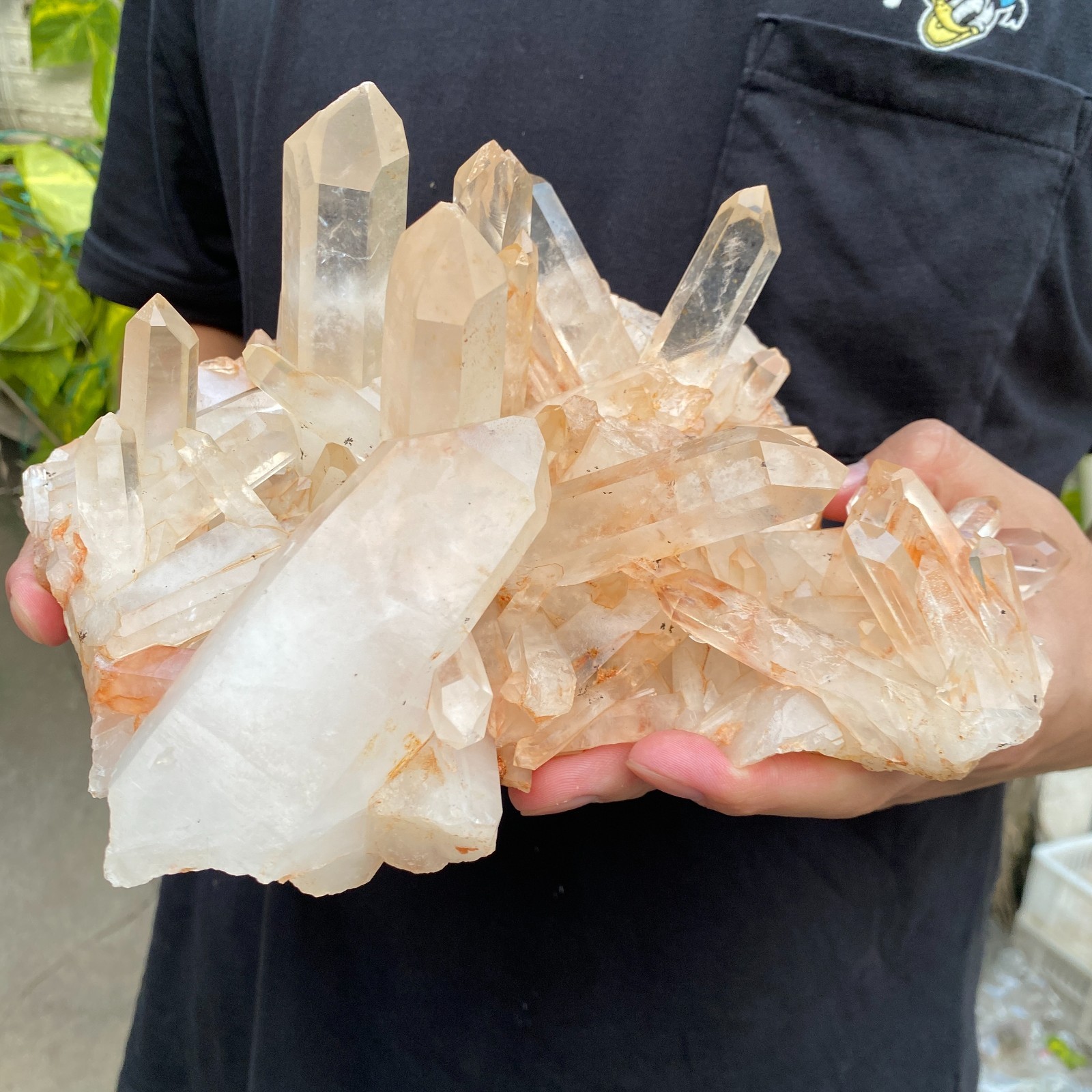 5.6lb Natural Clear White Crystal Quartz Cluster Rough Healing Specimen