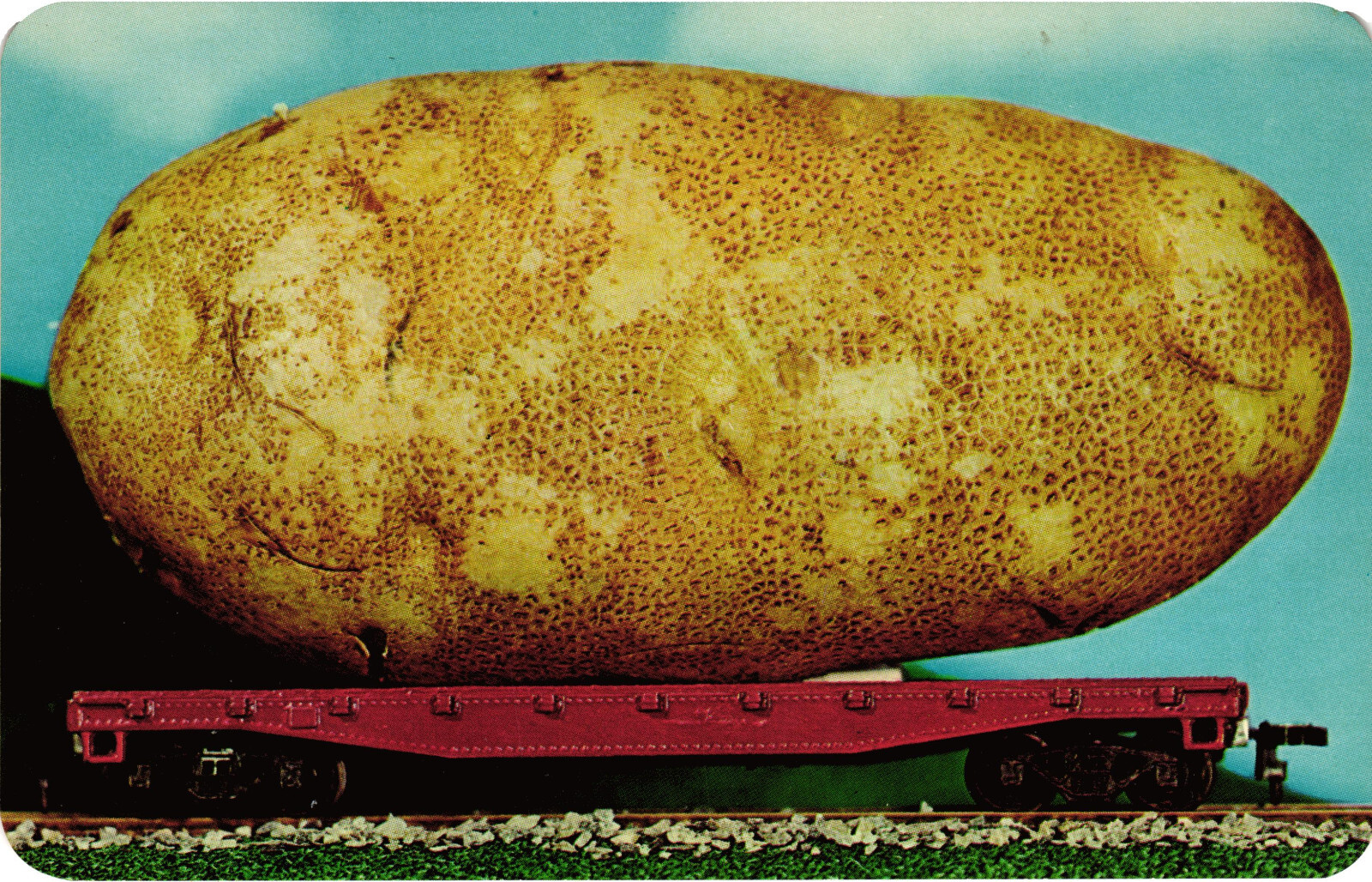Vintage “We\'ll Grow Them Bigger” Idaho Potato Postcard Unposted