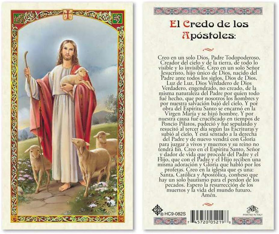 El Credo de Los Apostoles Laminated Prayer Cards - Pack of 25 in Spanish Espanol El Credo de Los Apostoles Laminated Prayer Cards - Pack of 25 in Spanish Espanol