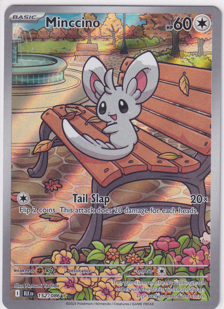 Pokémon TCG Minccino 152/086 Sv: Black Bolt Illustration Rare Holo EN 2025 NM