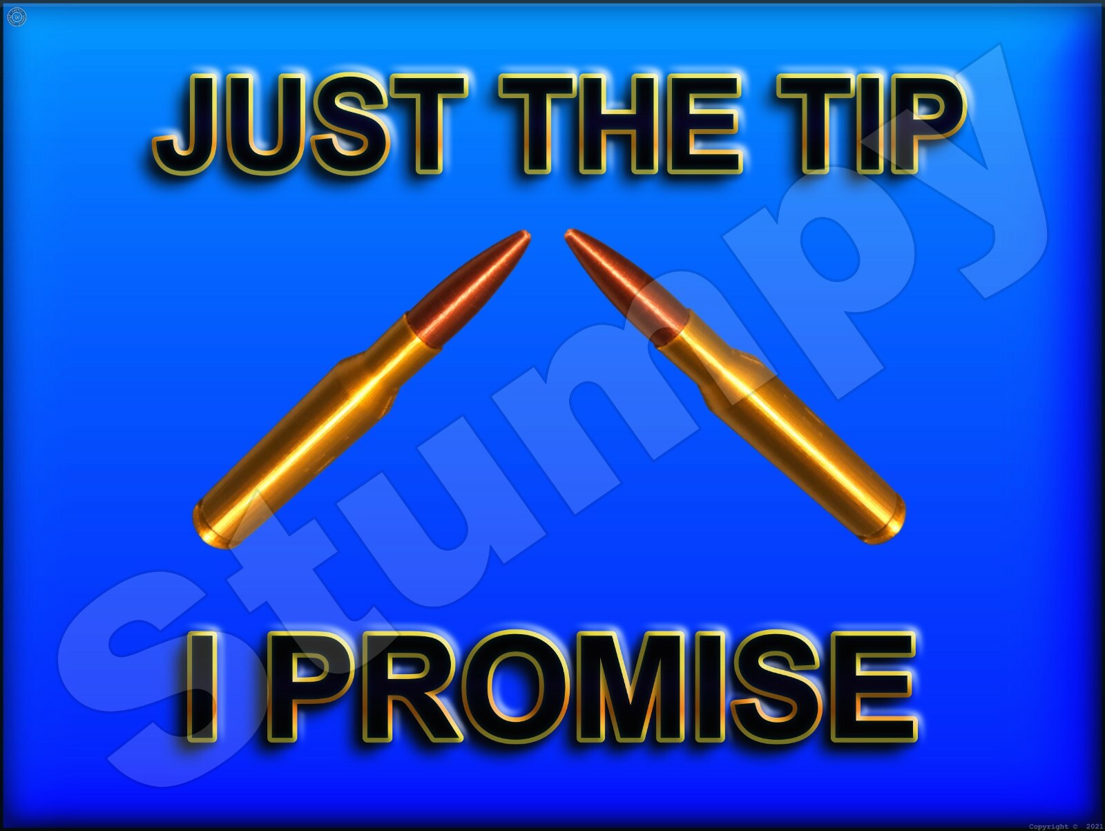 Just The Tip I Promise Metal Sign 9\