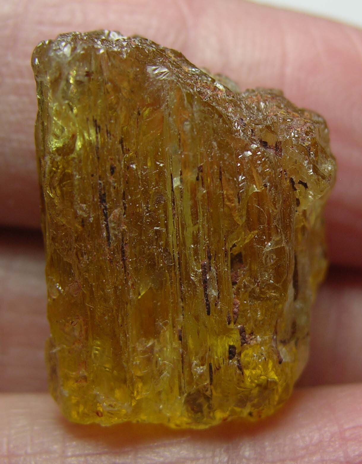 Natural 38.35ct Cambodian Beryl Heliodor Crystal Stick Specimen 7.65g 22.00mm