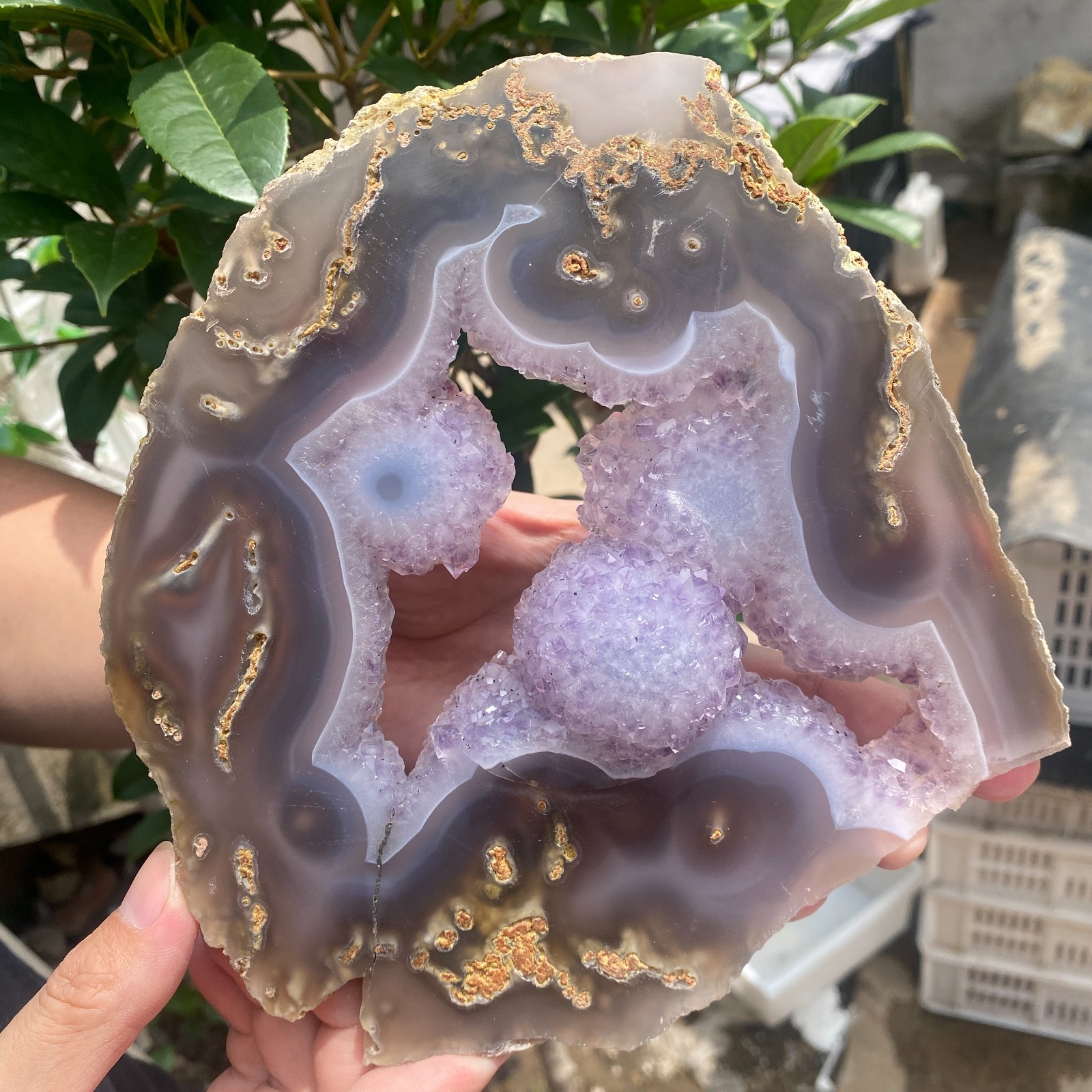 1.6LB Natural Amethyst agate geode quartz cluster crystal specimen Healing