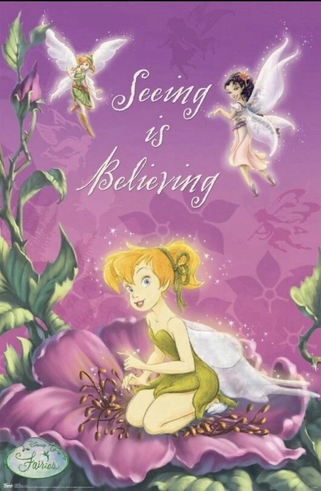 Disney Fairies- Feisty Rolled Poster 22.5\