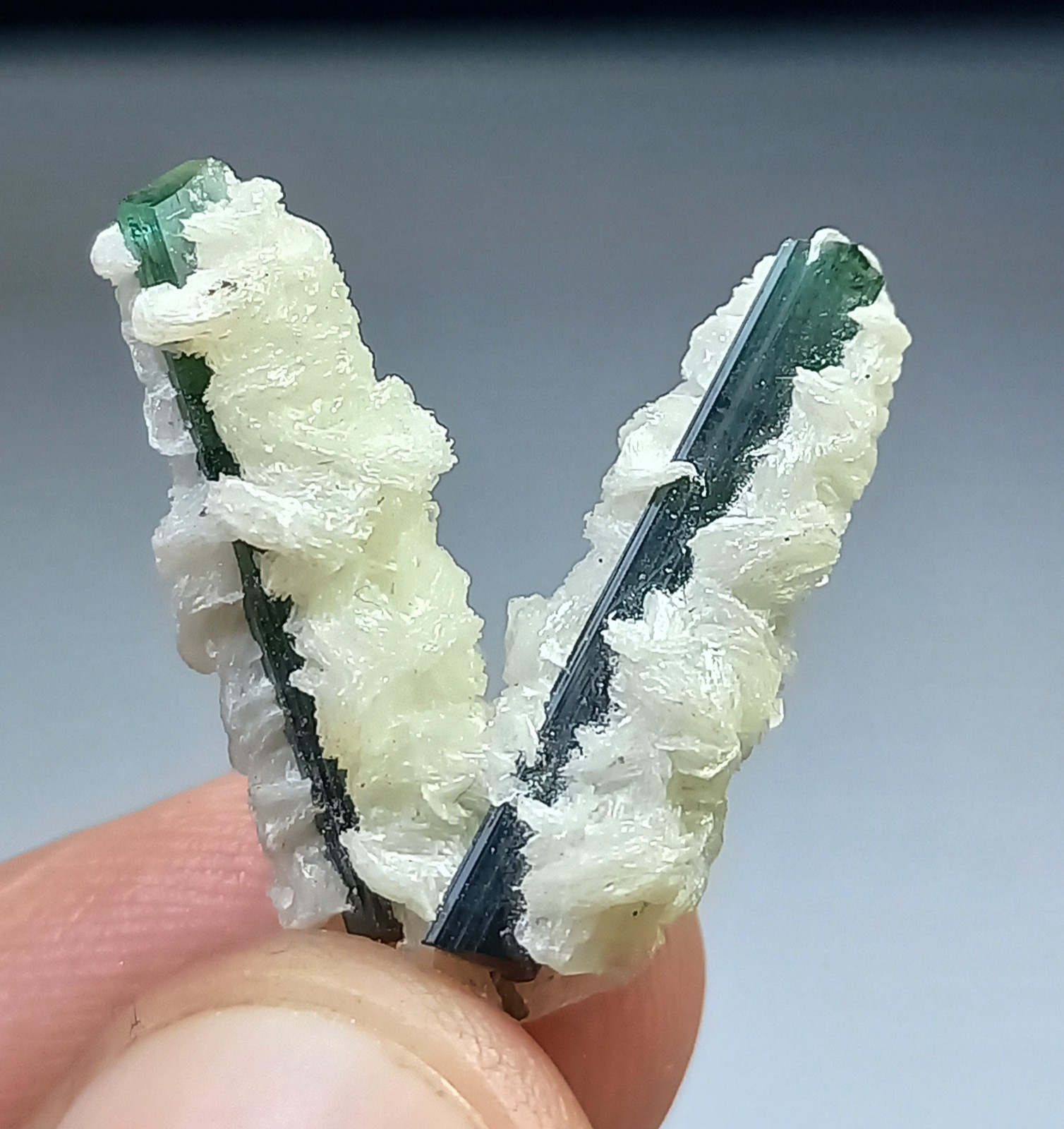 Fresh from Mine Mesmerizing V shape Indicolite Tourmaline Crystals:15CRT