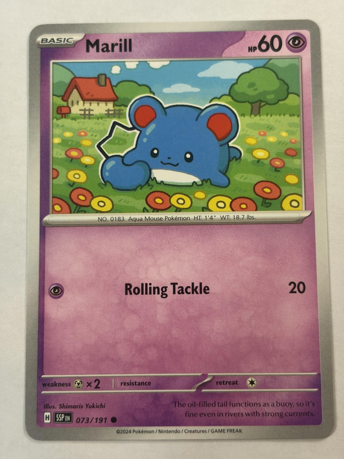 Pokémon Marill 073/191 2024 The Pokémon Company International Trading Card NM
