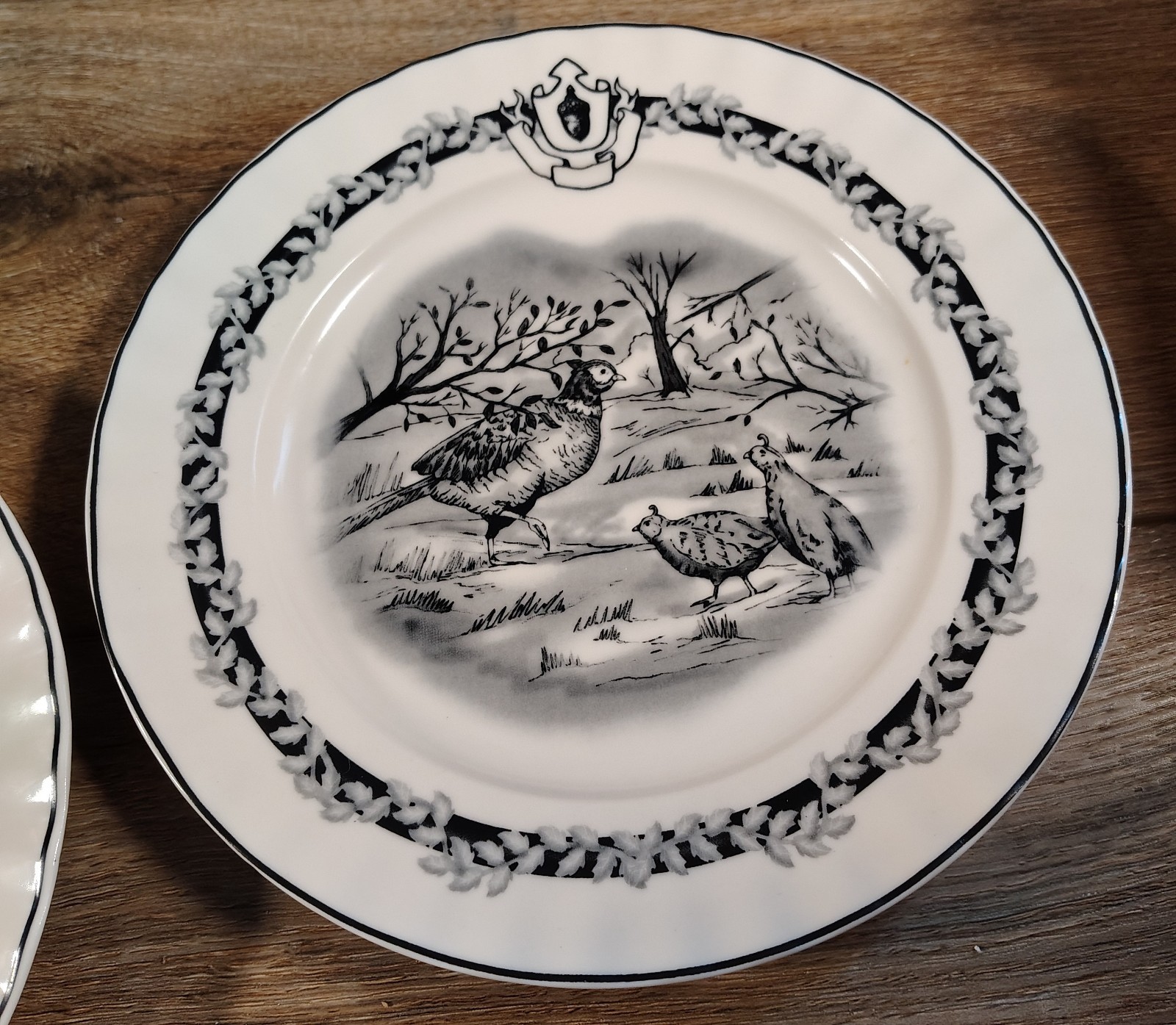 These Two are 8-inch, black and white scalloped pheasant quail 8\