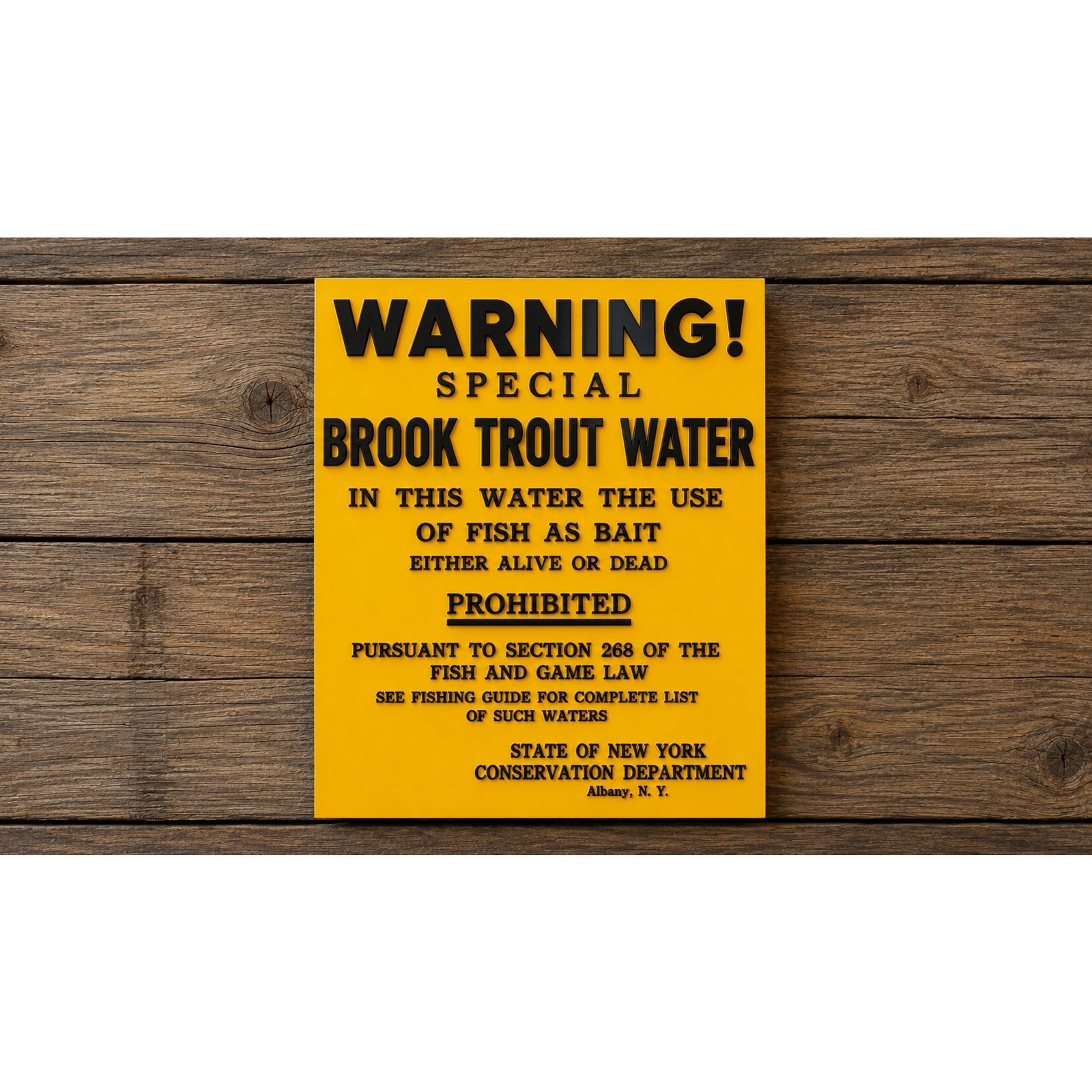New York State Warning Special Brook Trout Water Sign Fish Environmental Conserv