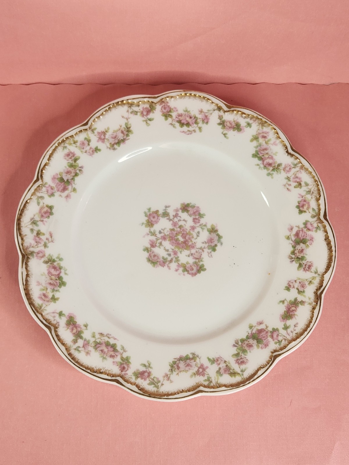 Antique Haviland & Co Limoges Schleiger 270 Salad Plate France 1894-1931