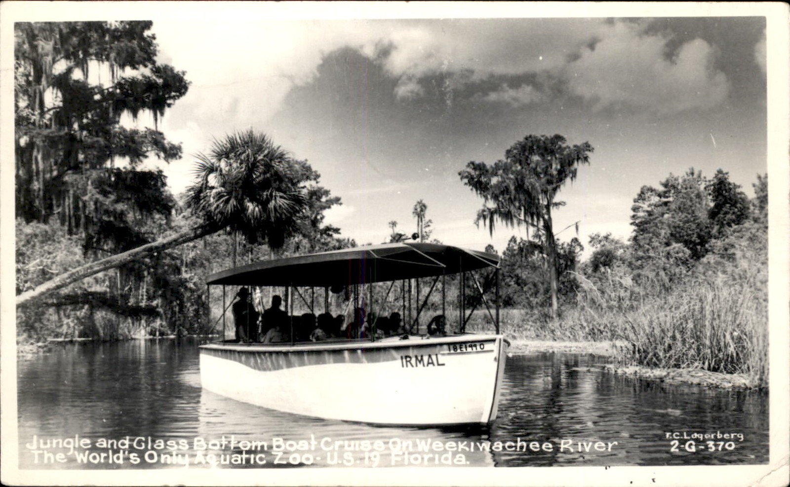 Weeki Wachee FL Glass Bottom Boat Cruise c1940s Real Photo Postcard bhn