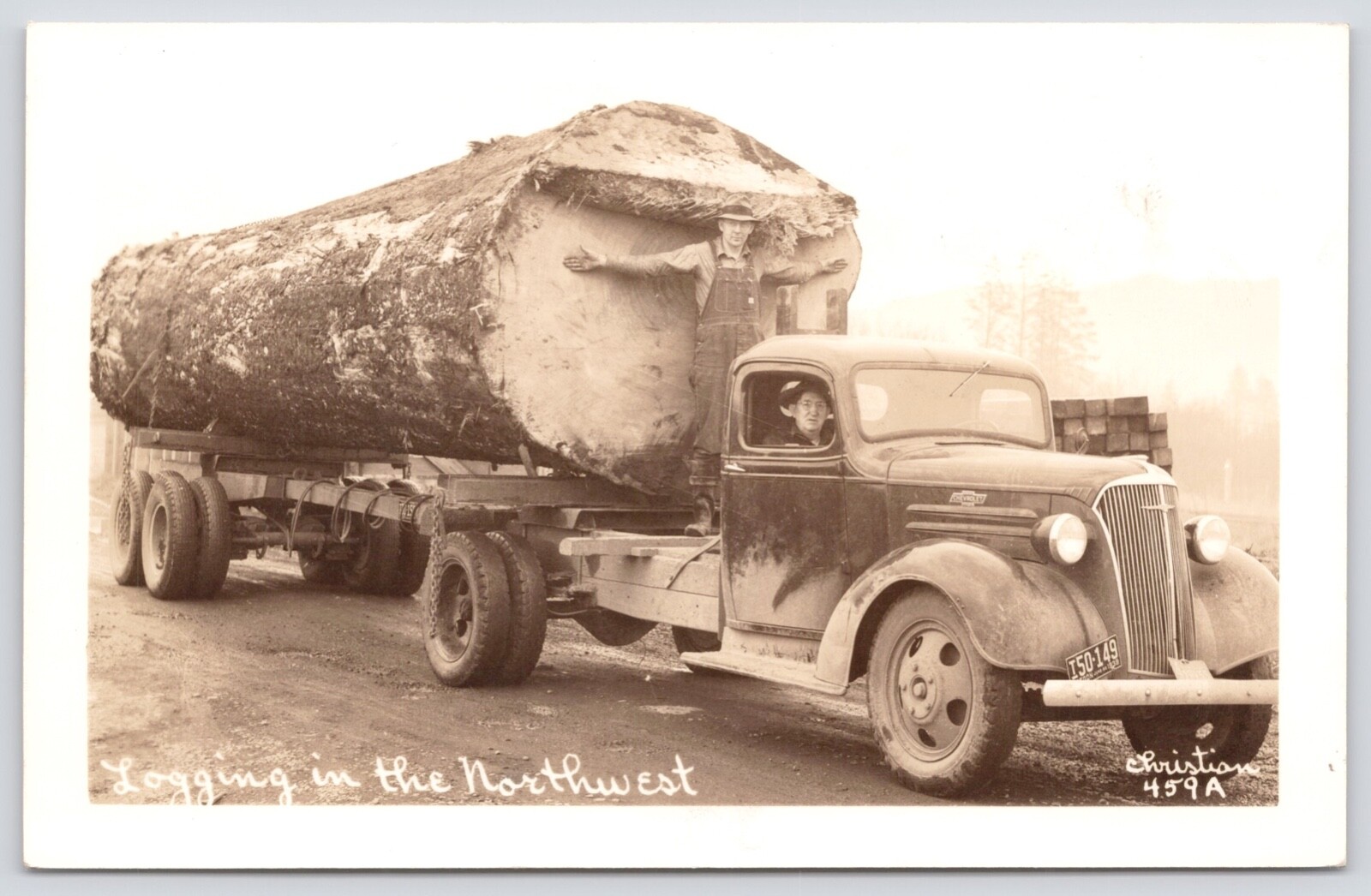 Postcard RPPC Man Spreads Arms at Cut End of Large Log on Truck Oregon c1940s
