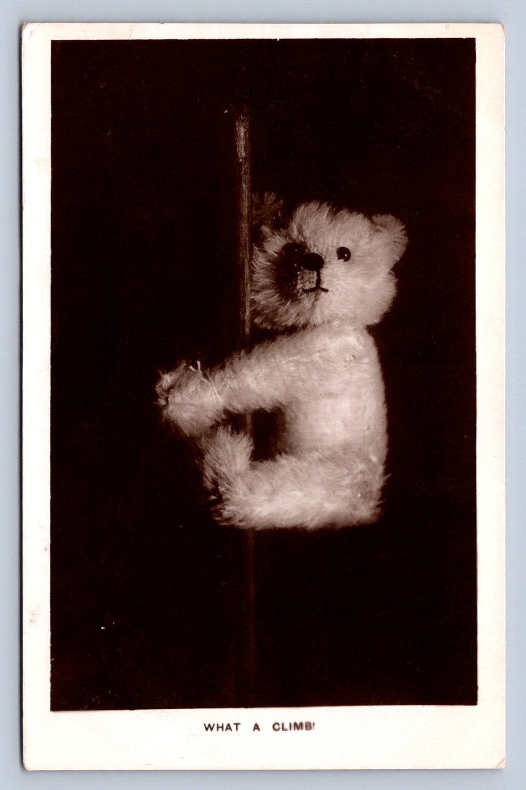 J98/ Teddy Bear Interesting RPPC Postcard c1910 What A Climb 187