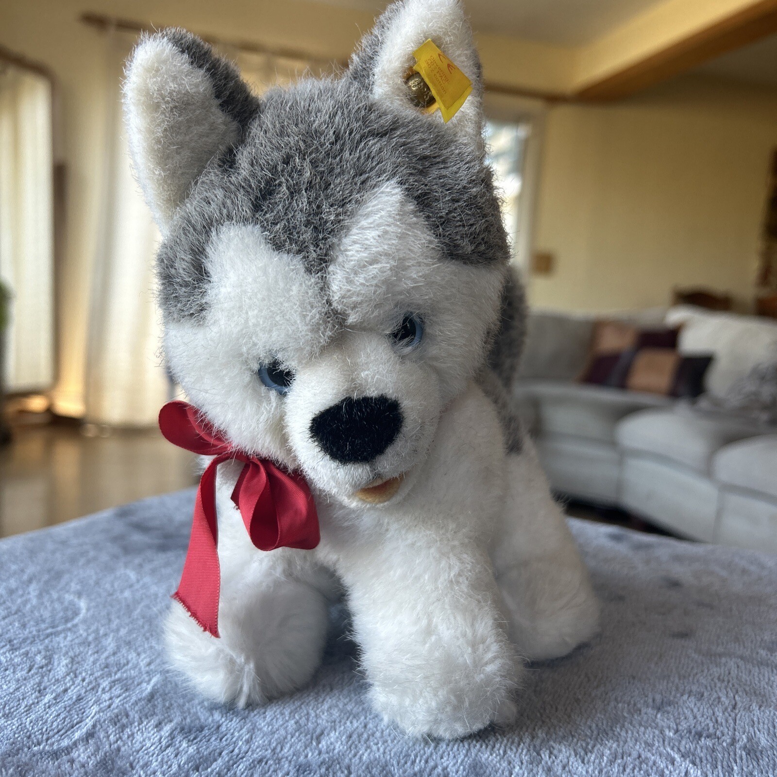 STEIFF Baby Molly Husky Dog, Standing, Ear  Button RARE HTF