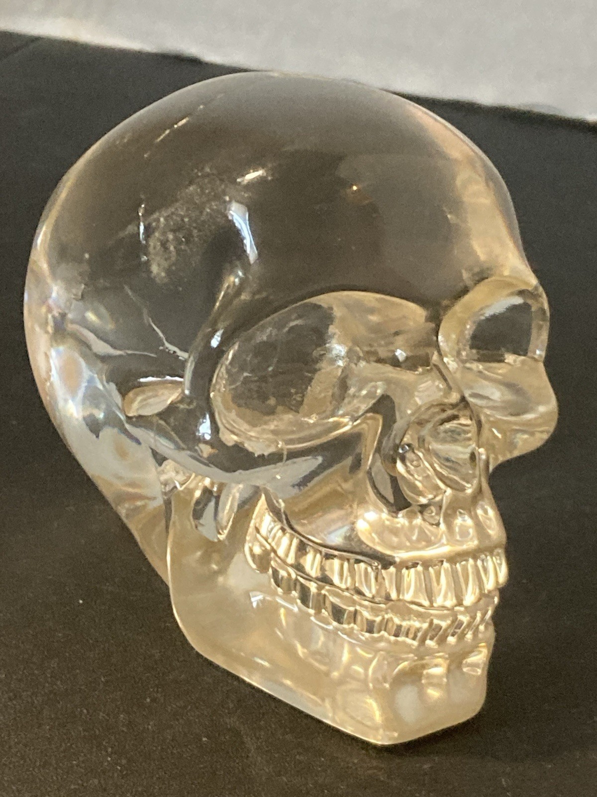 Translucent Human Clear Resin Skull,  Summito 2011 Oddities, Gothic Decor