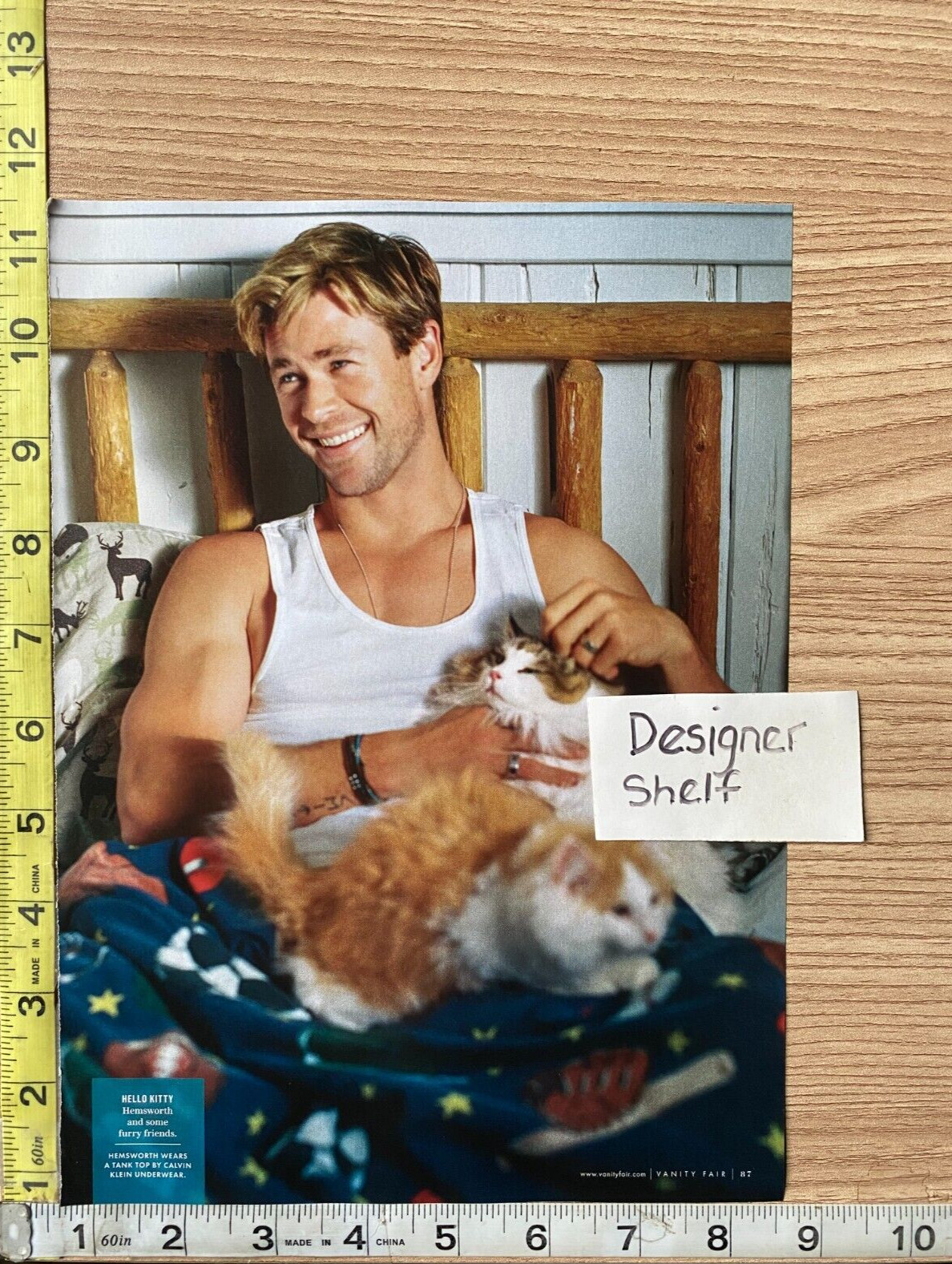 Liam Hemsworth Shark & Cat Scene 2016  Magazine Photograph