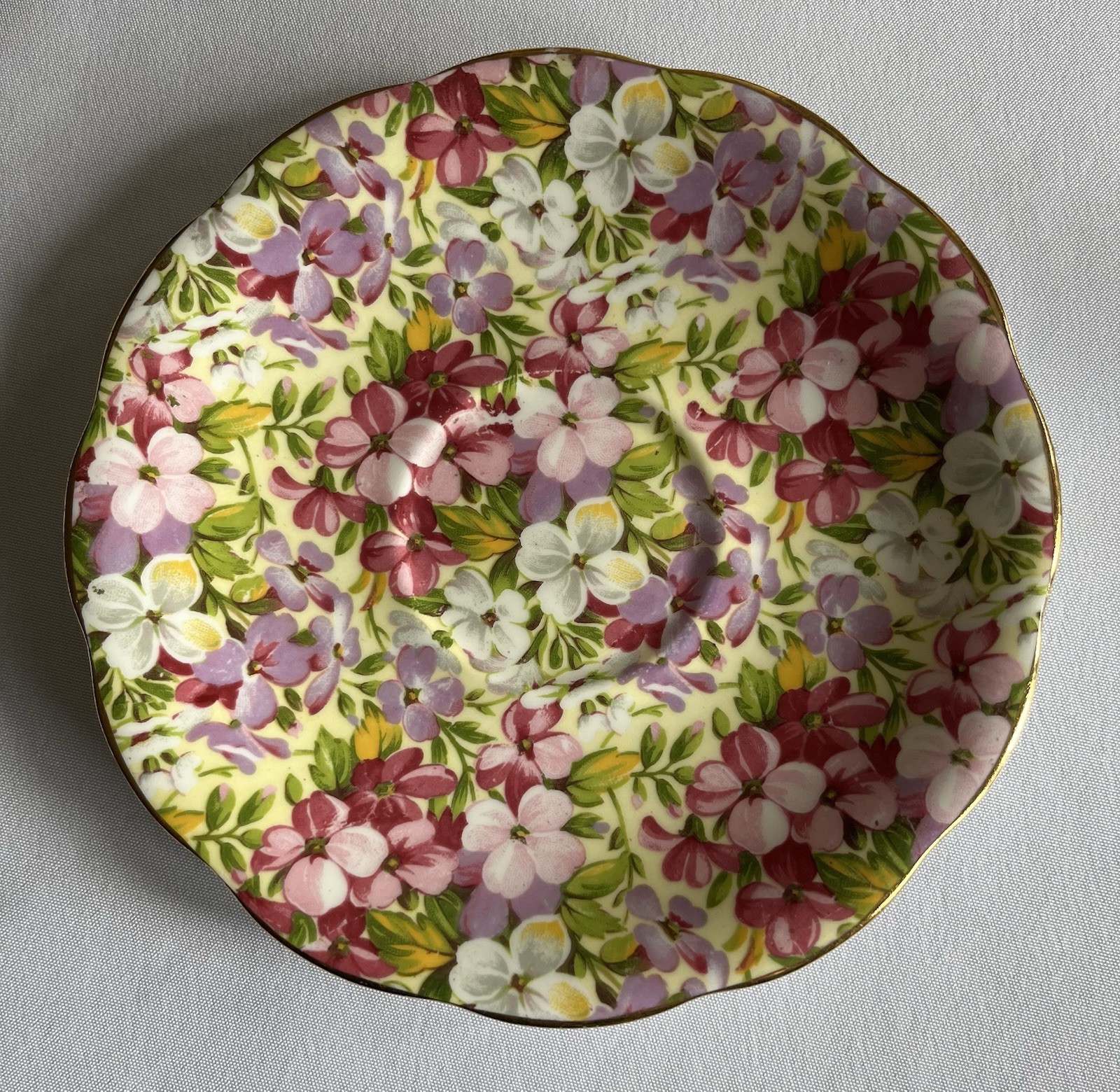 Vintage Virginia Stock Royal Standard Fine Bone China Saucer