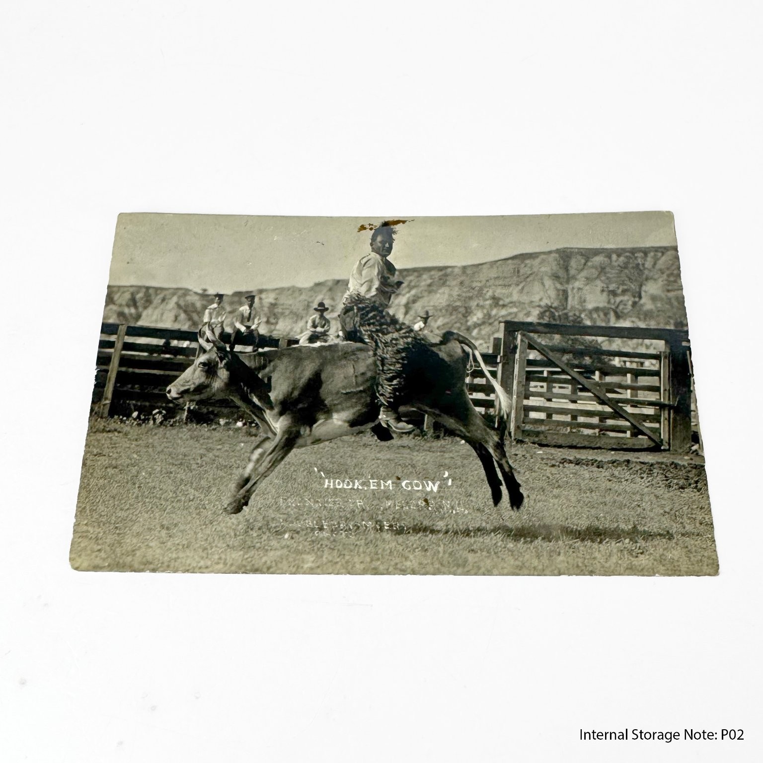 Vintage Real Photo Postcard RPPC Boy Riding Calf Rodeo Hook 'Em Cow Unposted Vintage Real Photo Postcard RPPC Boy Riding Calf Rodeo Hook 'Em Cow Unposted