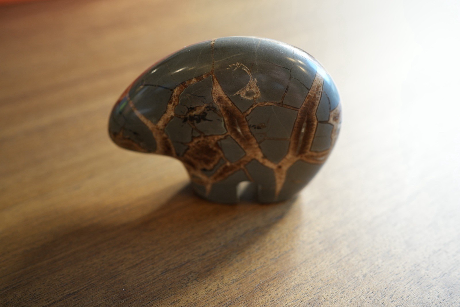 Septarian Dragon Stone Carved Spirit Bear Figurine