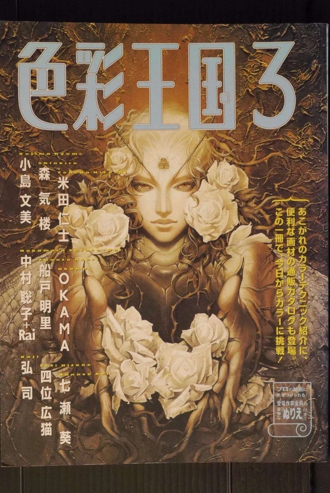 How to Draw Illustrarion Book: Shikisai Oukoku vol.3 Ayami Kojima & Other JAPAN