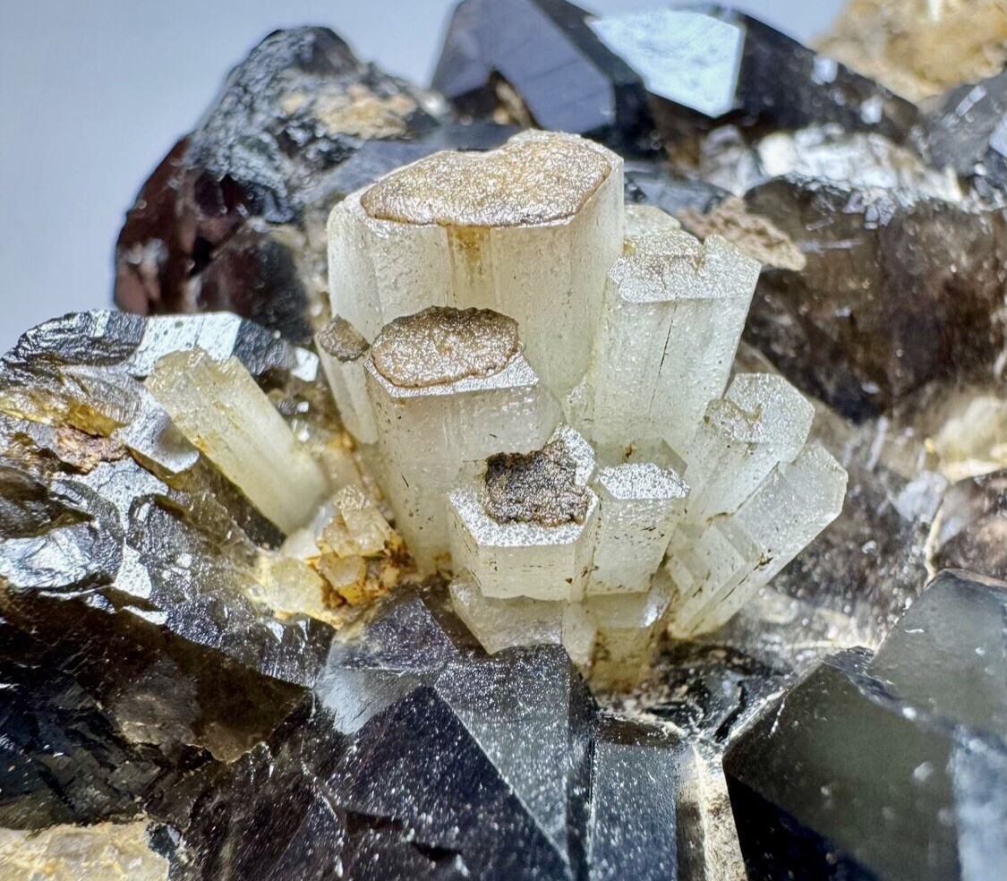 Super Rare Natural Fully Terminated Goshenite & Smokey Quartz Crystal Matrix