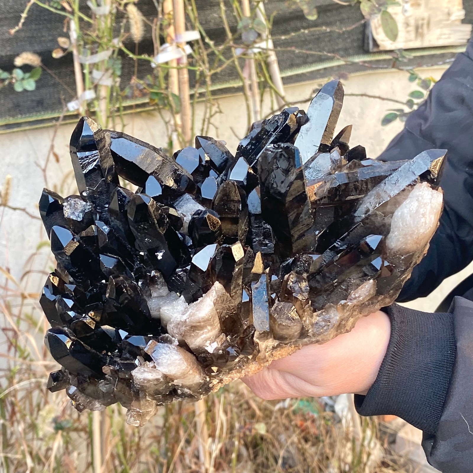 5.37LB  Large Natural Black Smoky Quartz Crystal Cluster Raw Mineral Specimen.