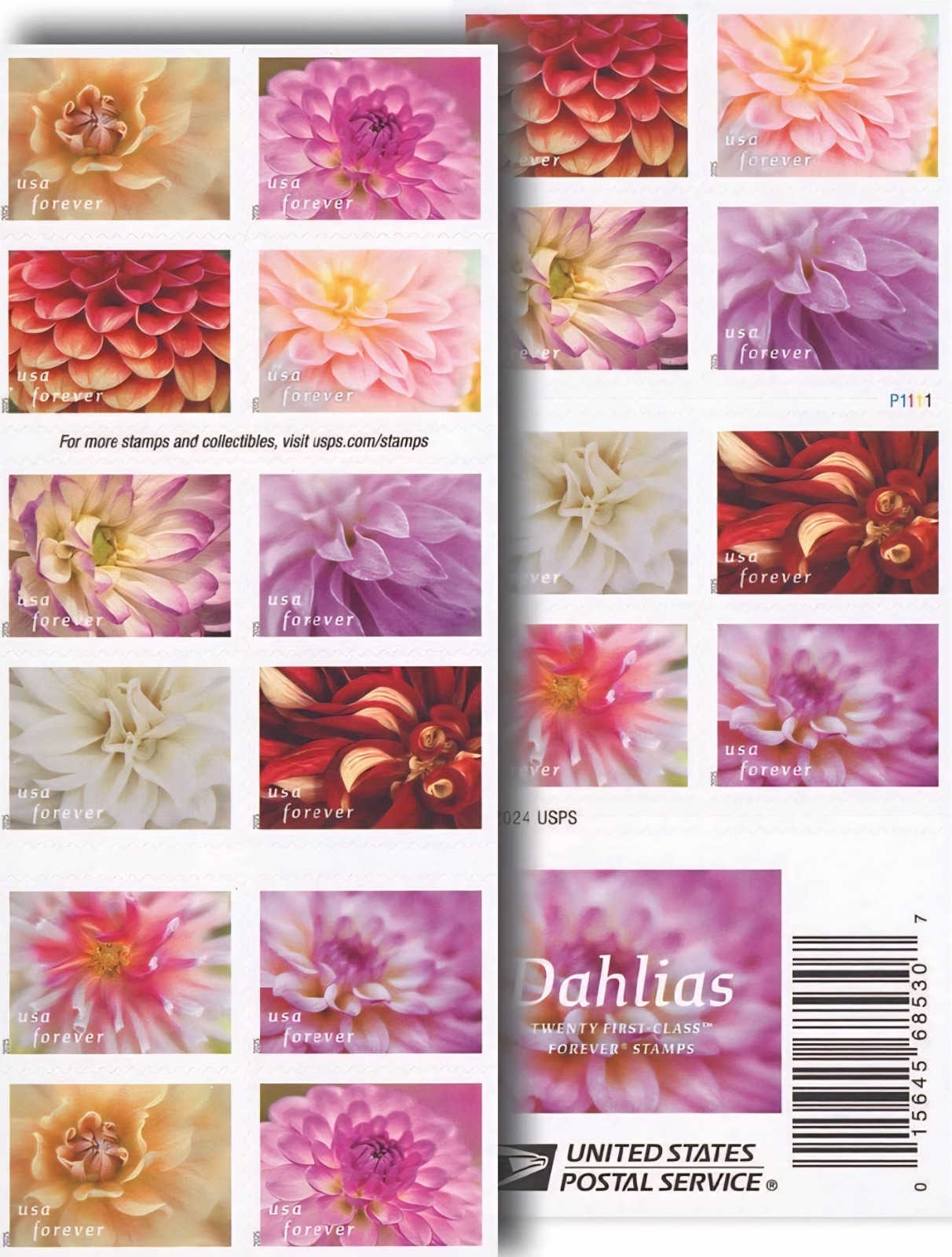 2025 SHEET OF 20 FIRST CLASS LETTER STAMPS DAHLIAS