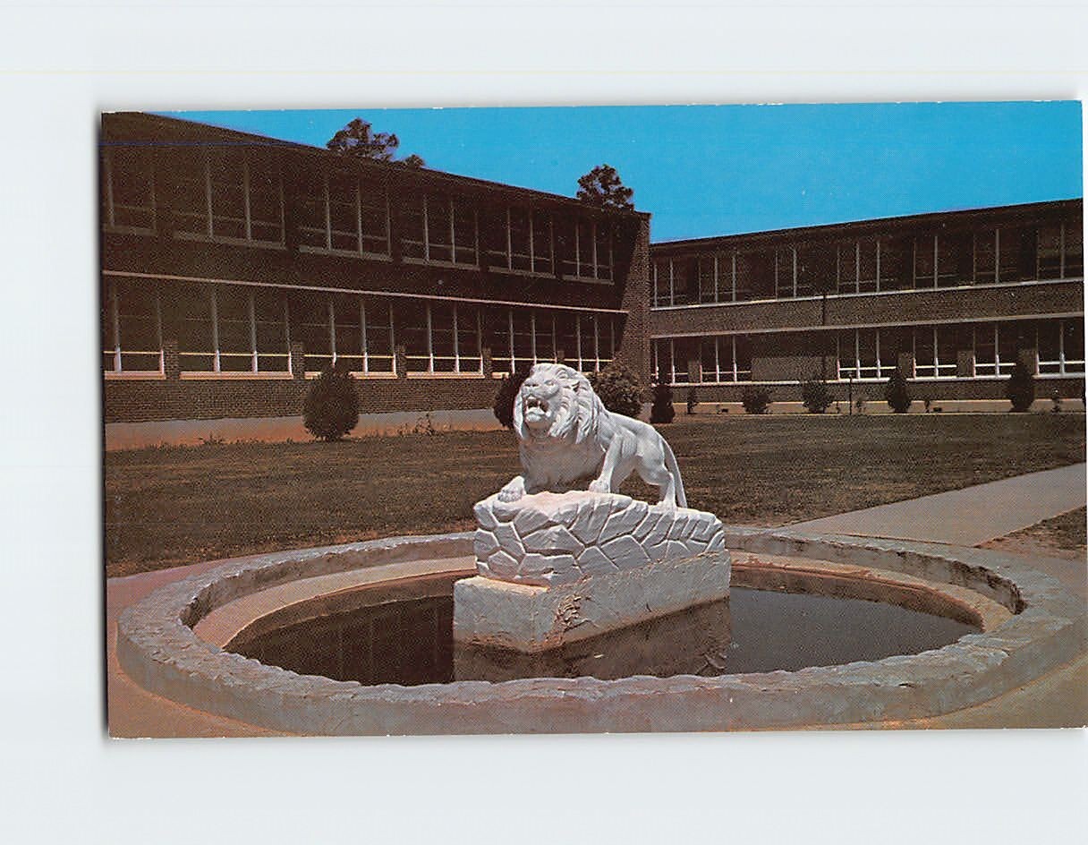Postcard AM & N Lion AM & N College Arkansas USA