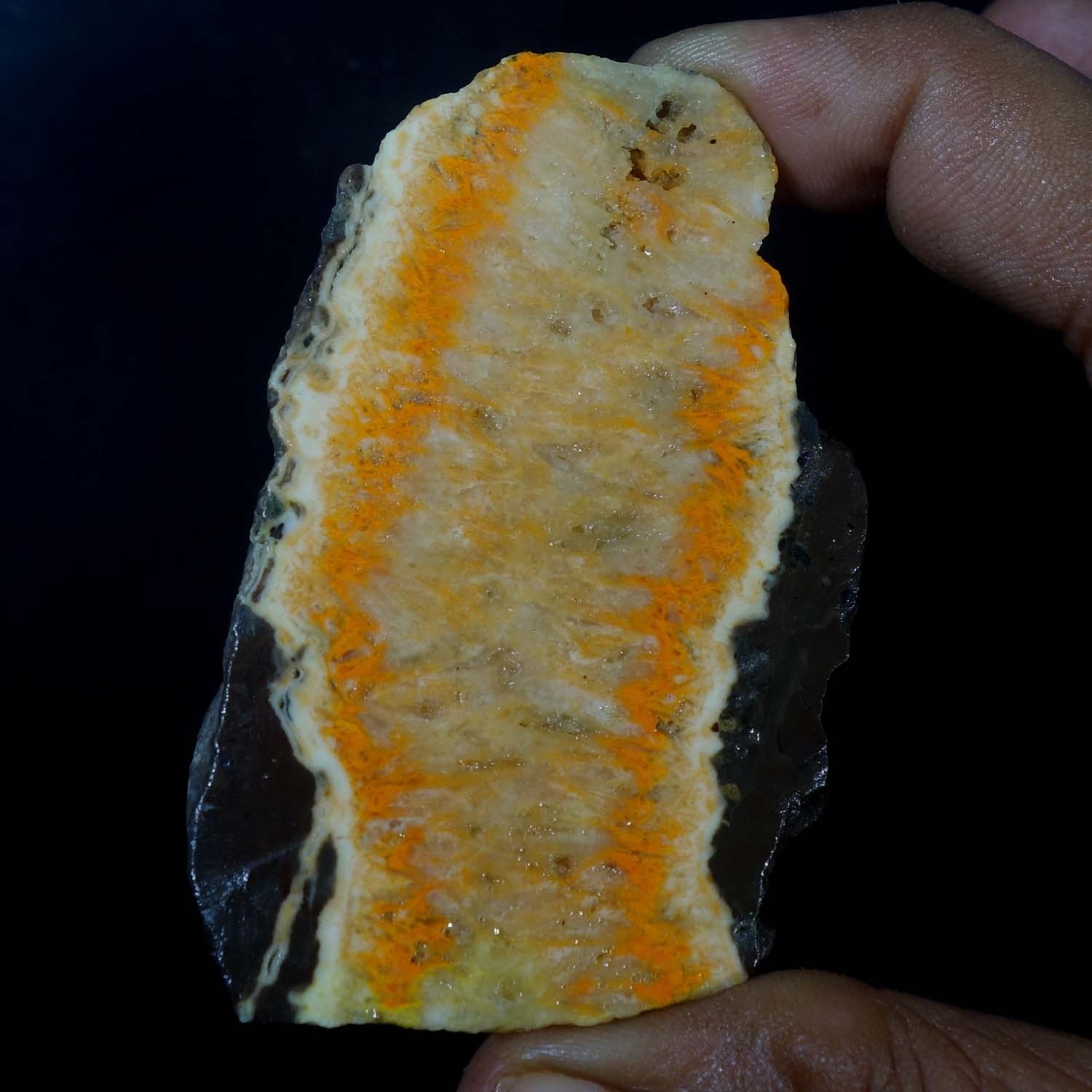 Bumblebee Jasper From Indonesia Rough Slab For Lapidary Cabbing 183.80 Cts Gems