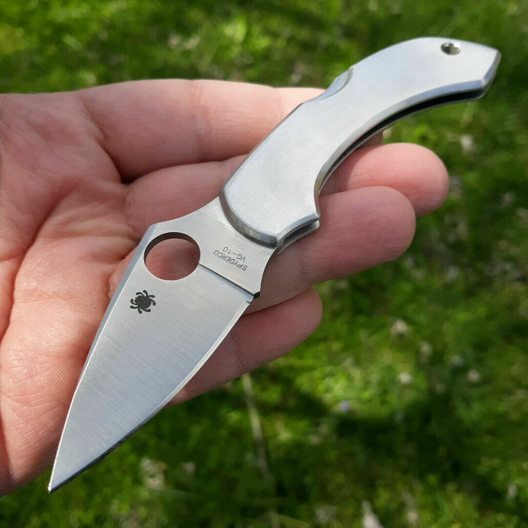 Spyderco Dragonfly Lockback Folding Knife VG-10 Steel Blade Stainless Handle