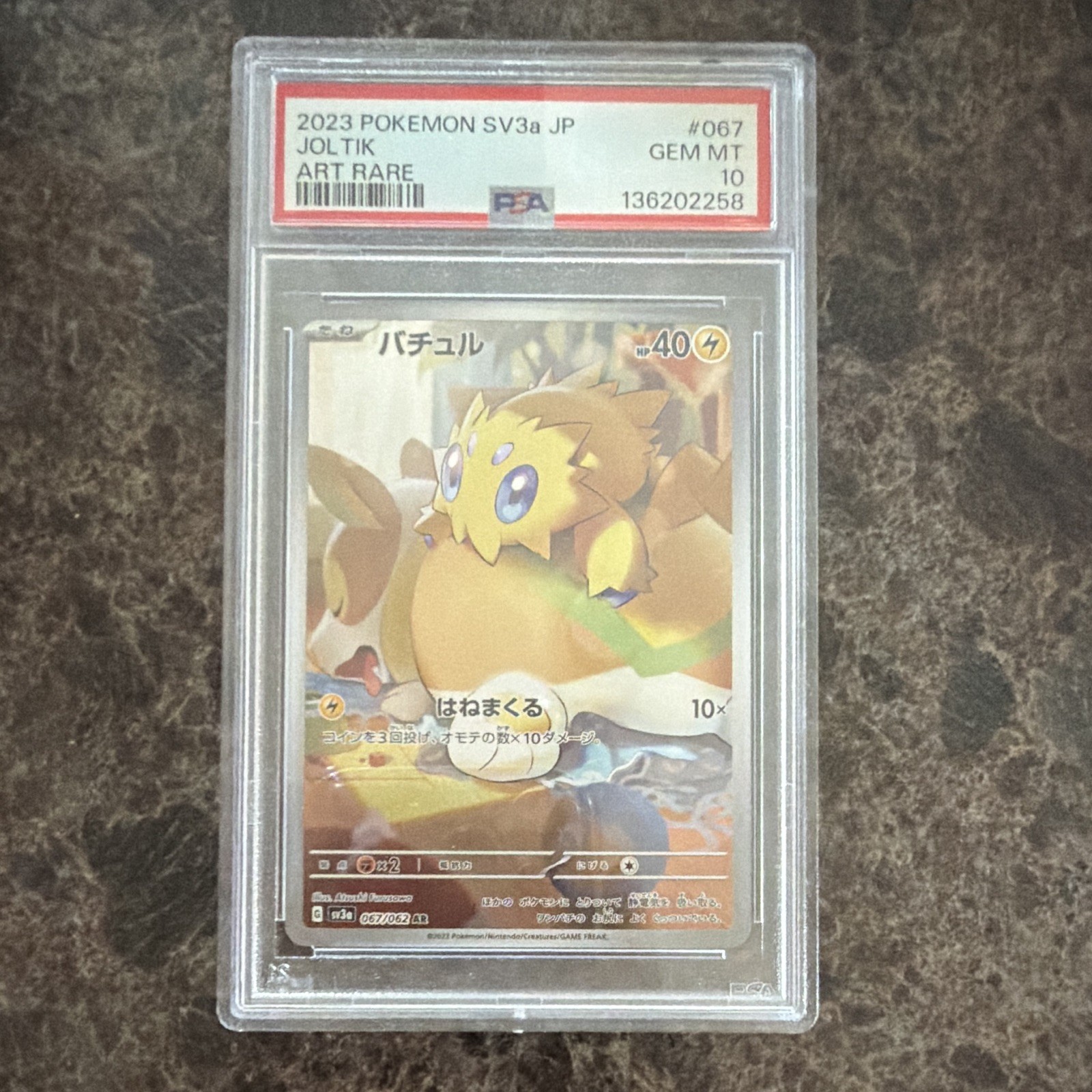 2023 Pokémon SV3a Japanese Joltik Art Rare #067 PSA 10 Cert 136202258