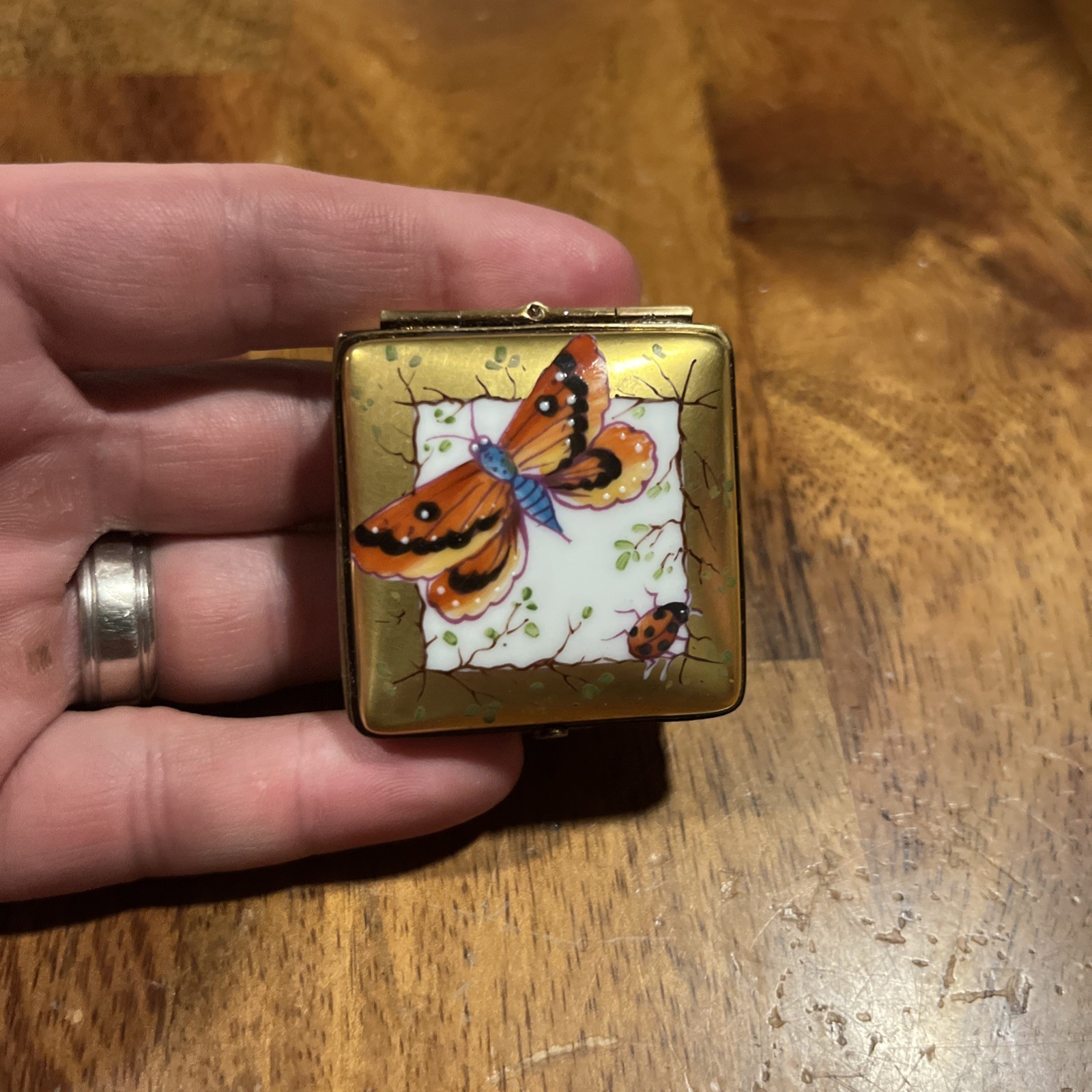 Butterfly And Lady Bug Limoges Box
