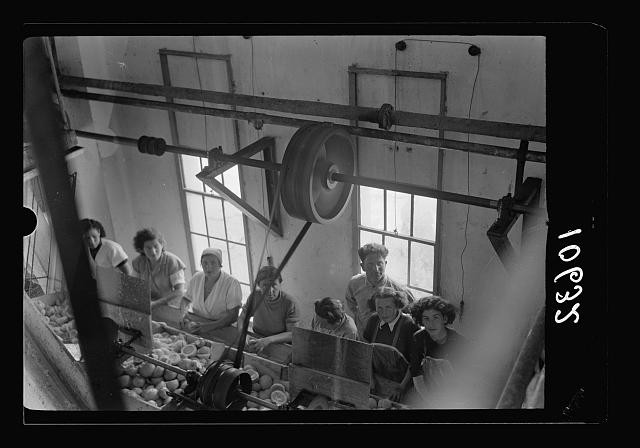 Photo:Haifa Israel Frutarom Company 1939 citrus juice factory workers