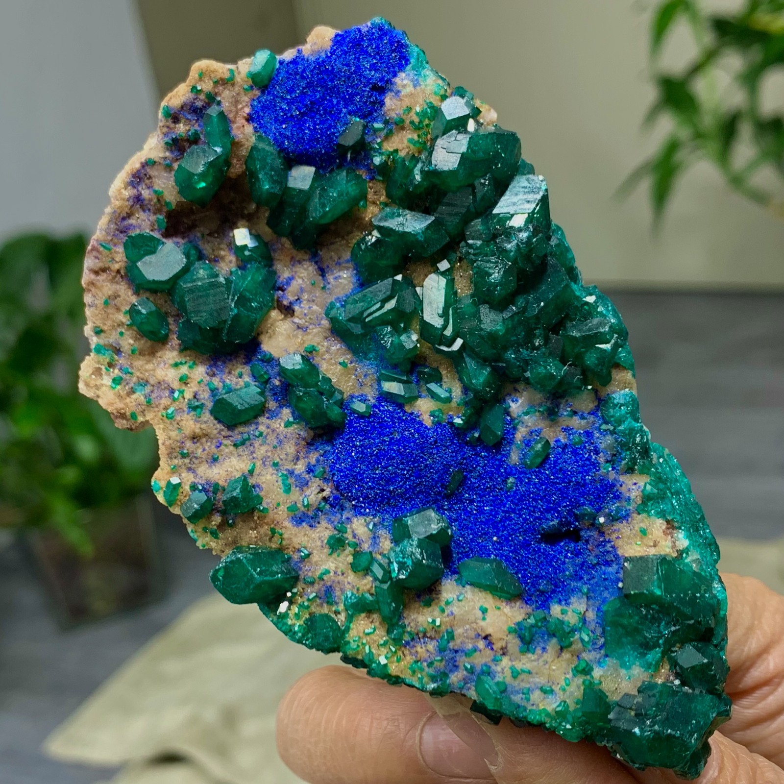 185G Natural green dioptase with Azurite gemstone cluster mineral specimen