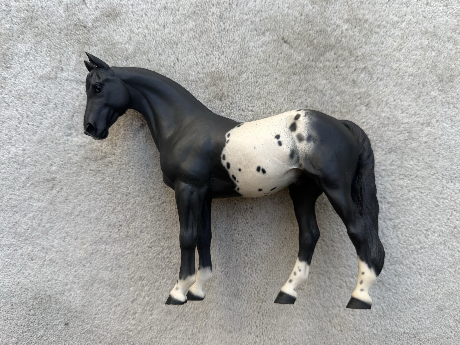 RARE Model Horse Resin North Light Custom? OOAK? Black Appaloosa Hanoverian UK