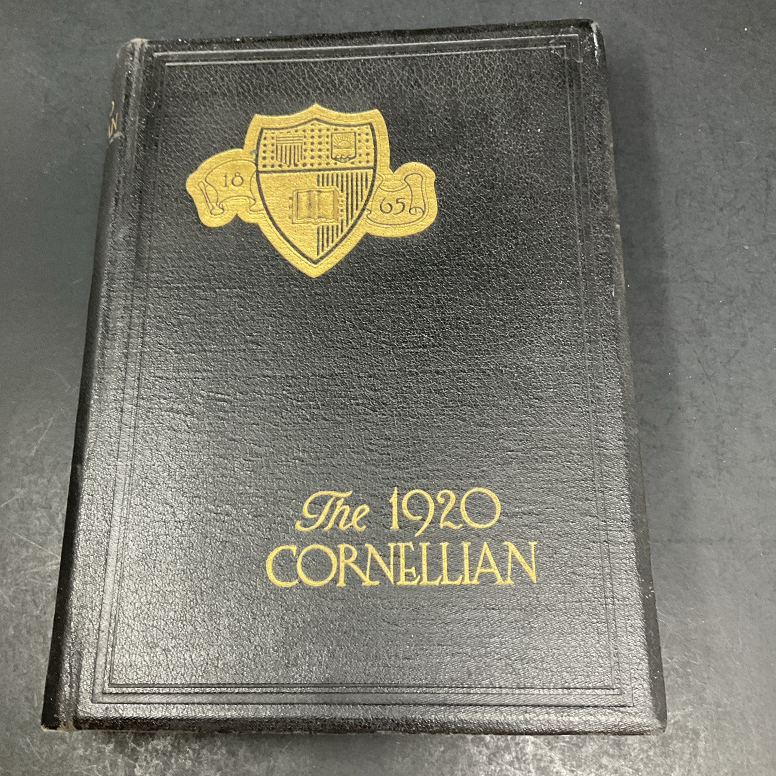 The Cornellian 1920 Yearbook Cornell University  106 Years Old