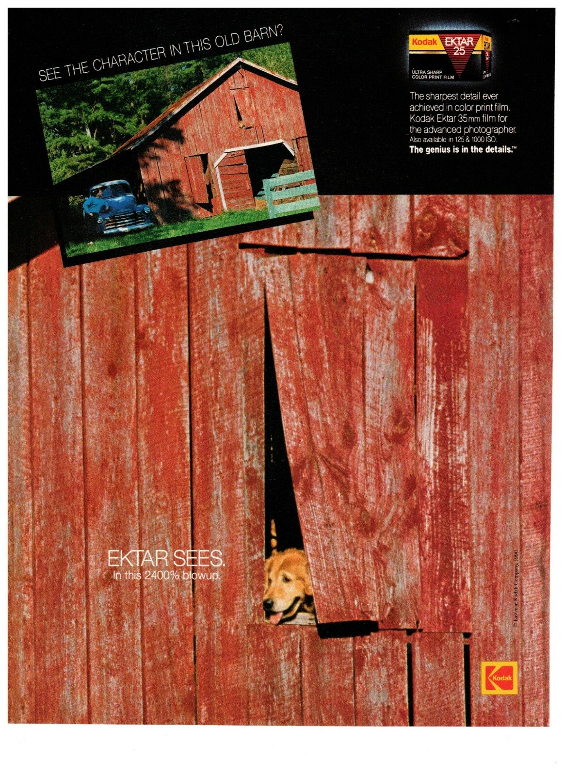 1990 Kodak EKTAR 35mm Film Photography Dog Red Barn Vintage Print Advertisement
