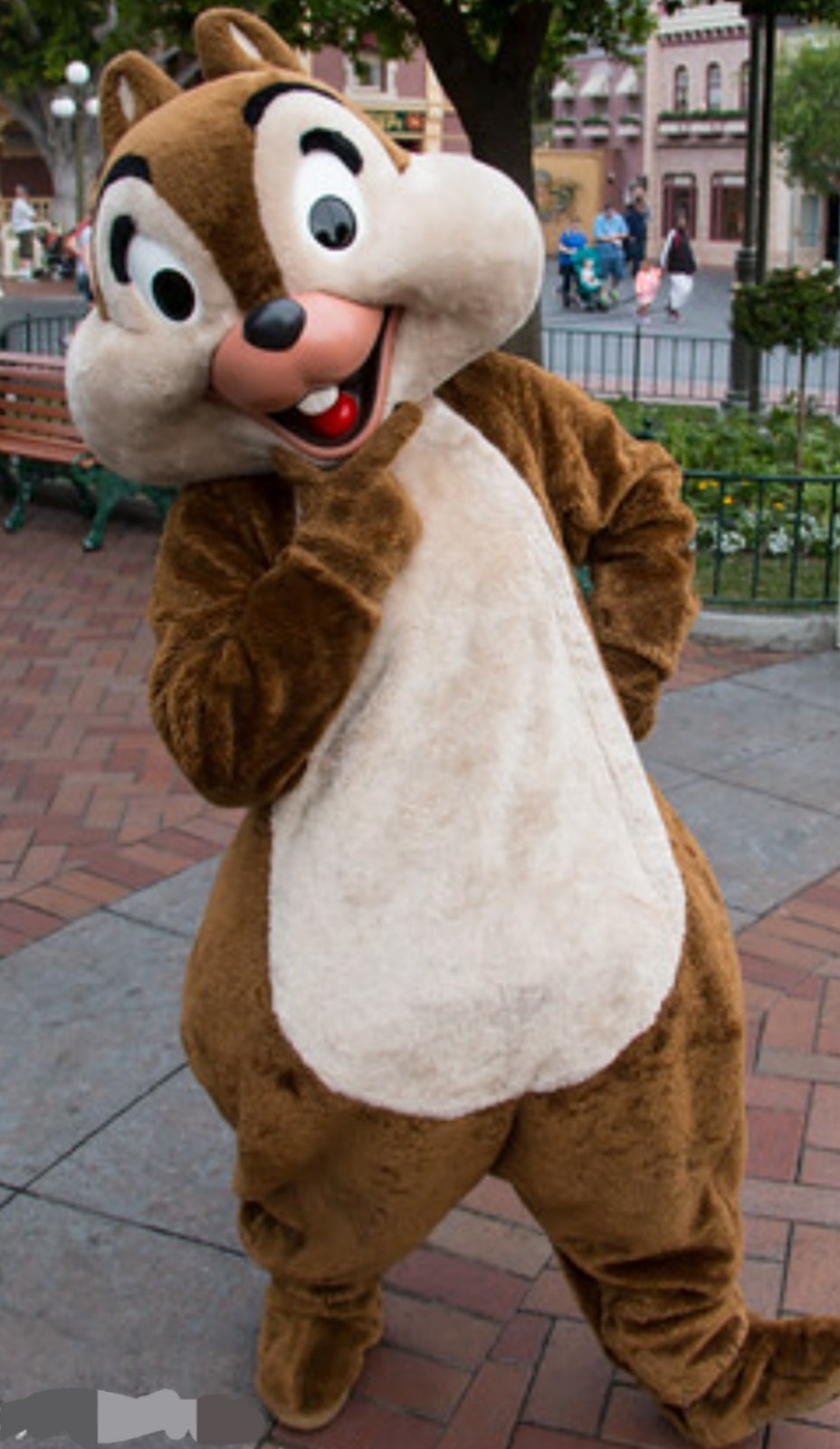 DISNEYLAND CHIP & DALE CHIPMUNK CAST MEMBER CHARACTER COSTUME PAIR OF FEET