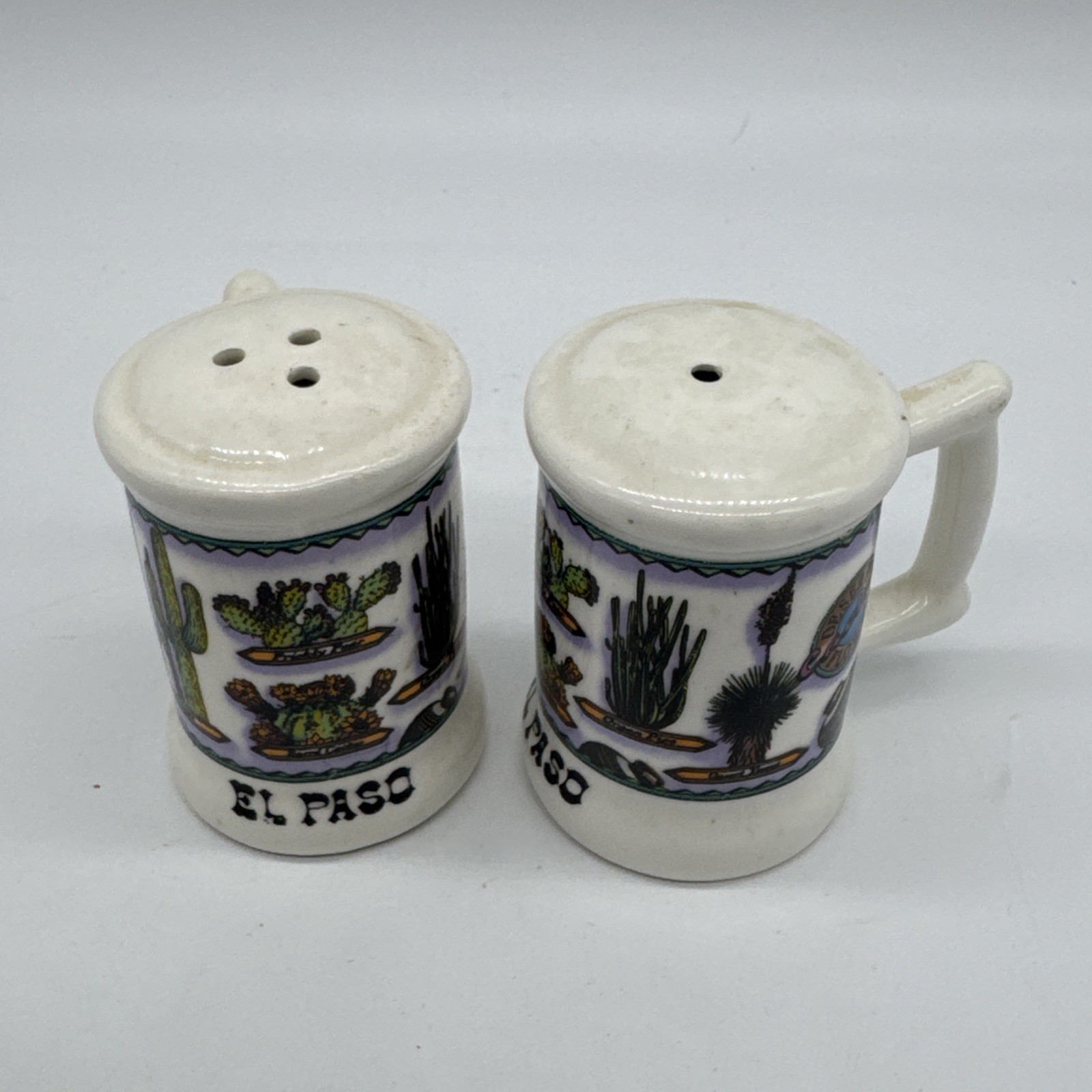 Salt & Pepper Shakers El Paso Cactus Stein Desert Flowers Salt & Pepper Shakers El Paso Cactus Stein Desert Flowers