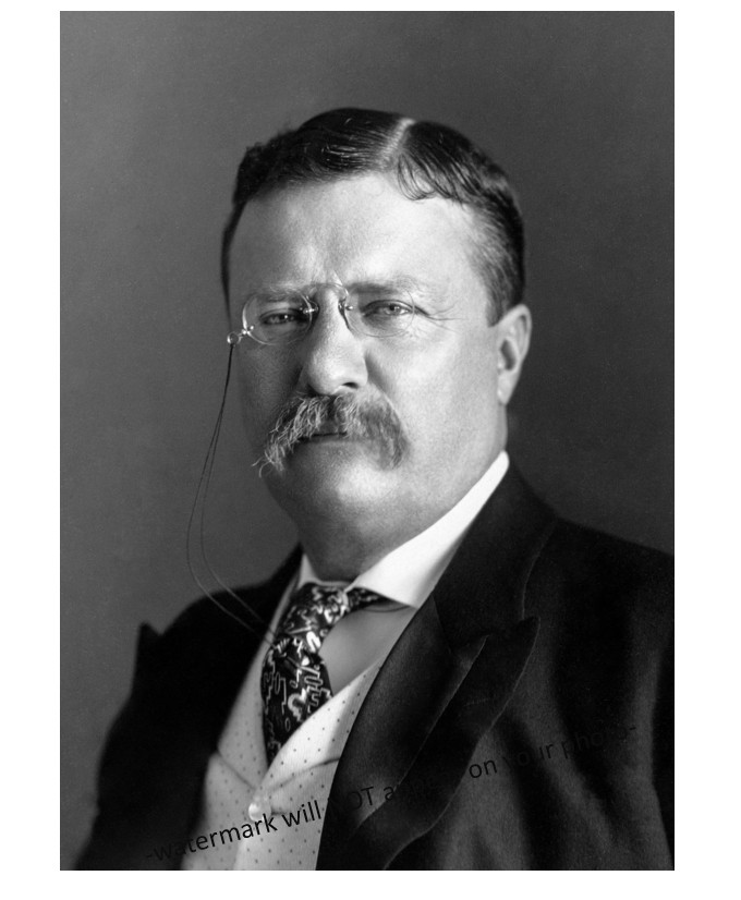 1904 Theodore Teddy Roosevelt PHOTO  US President Portrait