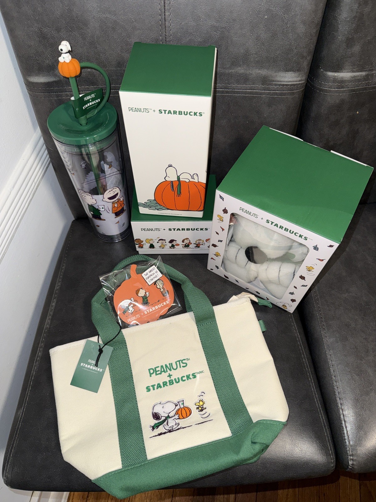 Starbucks x Peanuts 6 pc Set Straw Cup, mug, tumbler, pins, tote, snoopy plush
